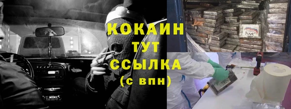 прущие грибы Алексеевка