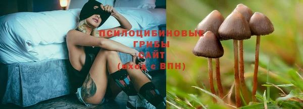 эйфоретик Алзамай